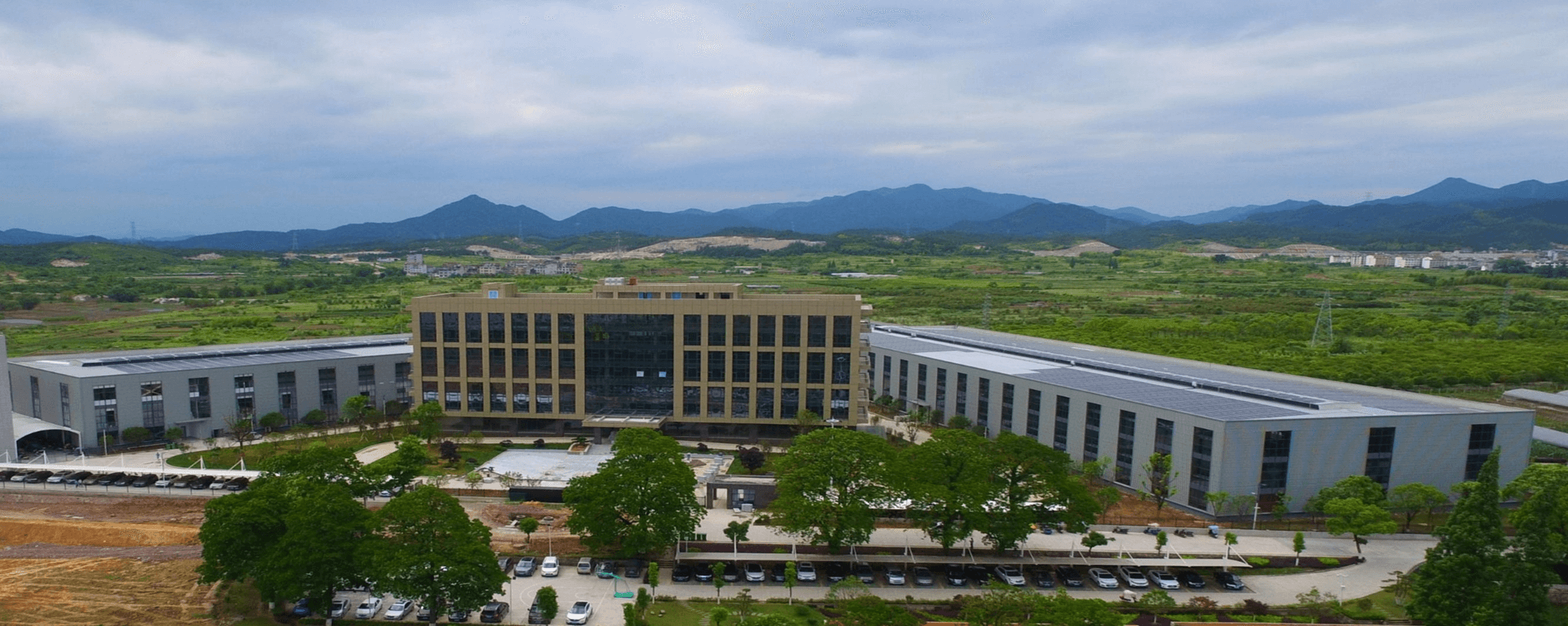 Chenlong plant